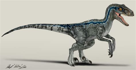 Jurassic World Velociraptor Blue by NikoRex on DeviantArt