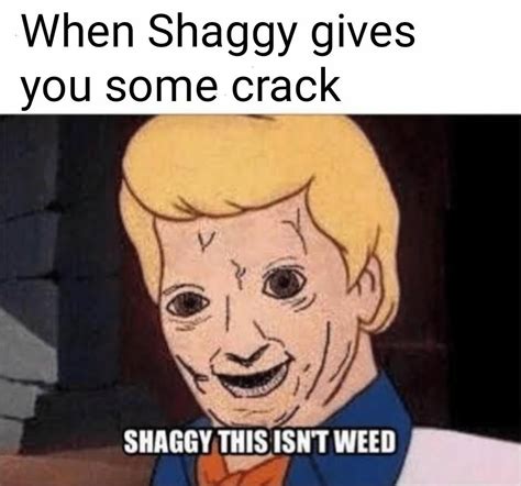 Shaggy Scooby Doo Meme