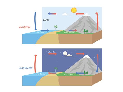 Diagram showing circulation of sea and land breeze illustration ...