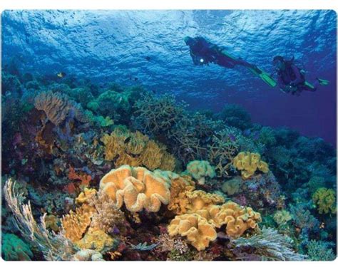 Buy Wakatobi Culture & Snorkeling Tour Tickets – December 2024 Deals & Special Offers