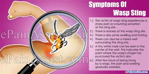 Wasp Sting|Symptoms|Treatment|Home Remedy|Herbal Remedy