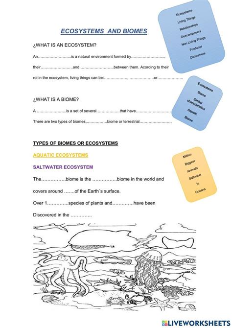 Biomes and ecosystems worksheet