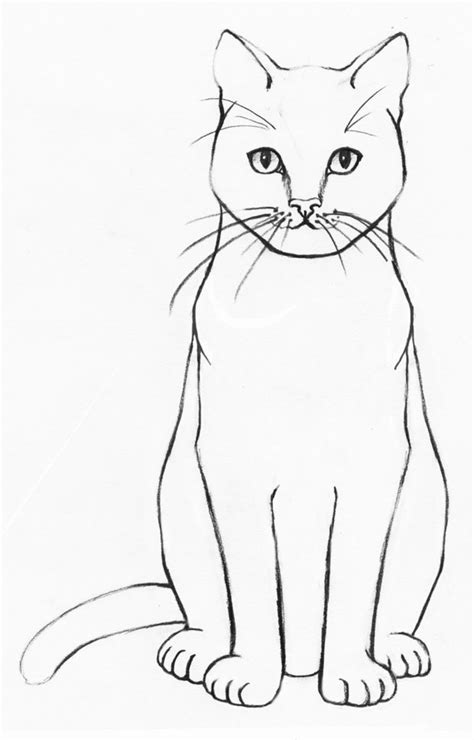 Cat drawing for beginners - ascseevent