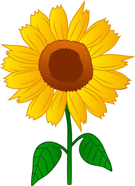 Sunflower Border - ClipArt Best