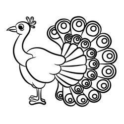 Peacock Draw Outline Vector Images (over 650)