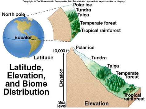 How can altitude affect biomes? + Example