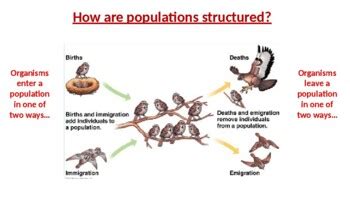 Ecology Population Dynamics Lecture PPT by Miss Vanessakay | TPT