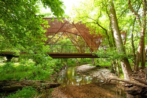 Music in the Air at Coler Mountain Bike Preserve | Arkansas Outside