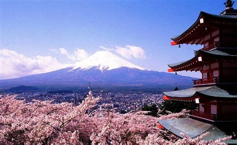 Gunung Di Jepang - Homecare24