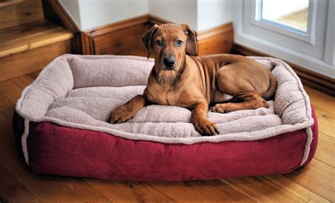 Wolfybeds Large Padded Luxury Fleece Dog Bed in Winterberry Red (36" x 24") washable covers ...