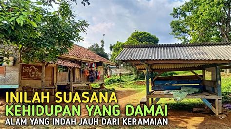 Suasana Kampung Yang Damai / Suasana pagi hari yang damai dan tenang di pedesan blitar jawa ...