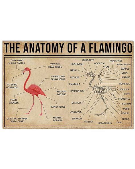 The Anatomy of A Flamingo Horizontal Poster - Etsy