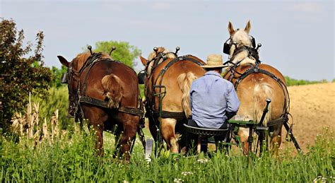 Amish Country Attractions | Area Guide | Things to Do in Berlin, Ohio