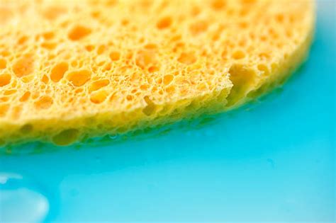 Sponge Absorbing Water Stock Photos, Pictures & Royalty-Free Images - iStock