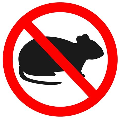 How to Get Rid of Mice - DIY Pest Control