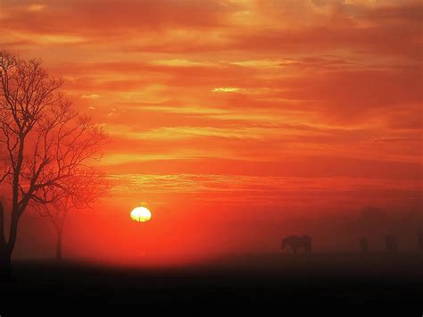 Red Sky Sunrise 2 Photograph by Jerry Connally - Fine Art America