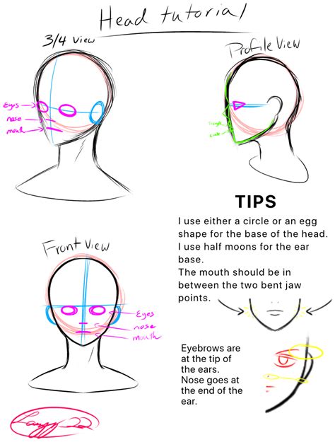 Head Tutorial - ibisPaint