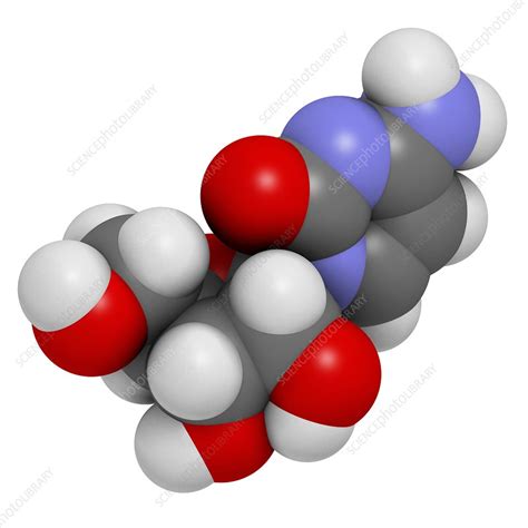 Cytidine molecule - Stock Image - F010/6779 - Science Photo Library