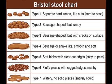 Printable Bristol Stool Chart