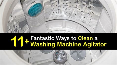 Washer Parts - Sanitize the Agitator in the Washing Machine