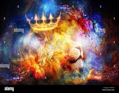 lion king in cosmic space. Lion on cosmic background Stock Photo - Alamy