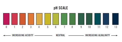 pH test strips | easy, accurate, immediate response | Bradford Derustit