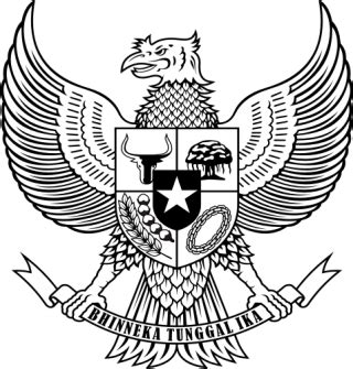 Burung Garuda Hitam Putih