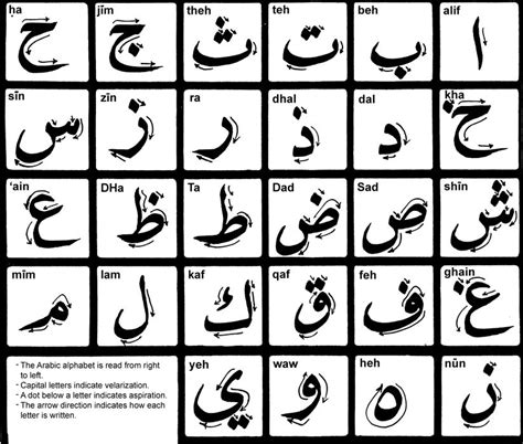 Arabic Alphabet - Arabic Calligraphy