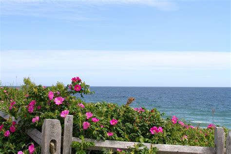 5 of the Best Things to Do at the Cape Cod National Seashore