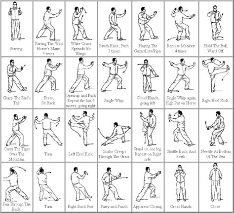 A Beginners Guide to the Tai Chi Short Form – Styles, Moves, and How to Practice