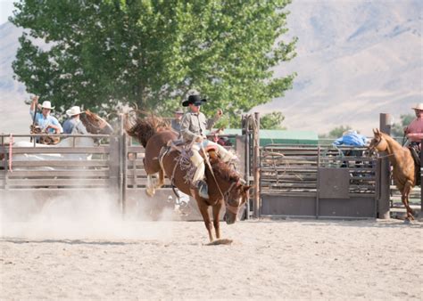 Bronc Riding: History, Rules & Evaluation