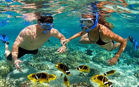 Blue Lagoon Snorkeling | Bali Sun Tours