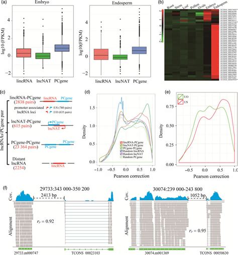 Expression of long non-coding RNAs (lncRNAs) and protein-coding genes... | Download Scientific ...