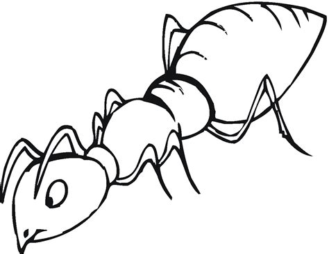 Free Printable Ant Coloring Pages For Kids