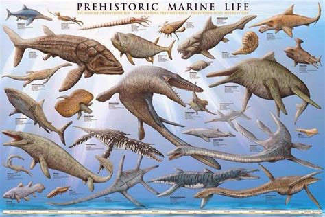 Prehistoric Marine Life Dinosaur Posters, Dinosaur Art, Prehistoric Dinosaurs, Prehistoric ...