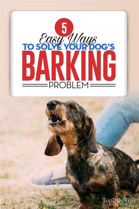 Dog Barking Problem: 5 Easy Ways to Solve It Fast