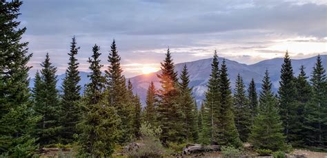 Free Images : sunrise, pine trees, sky, wilderness, ecosystem, spruce fir forest, tropical and ...