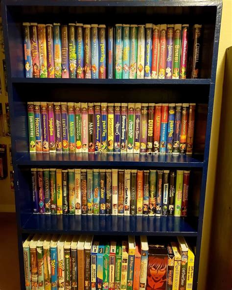 My vhs collection – Telegraph