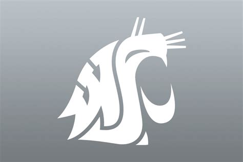 Montoya announces her return to the WSU faculty | WSU Insider ...