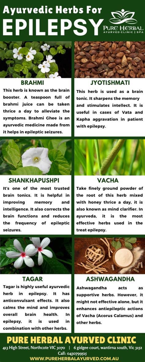 Epilepsy Natural Treatment | Ayurvedic Herbs For Seizures