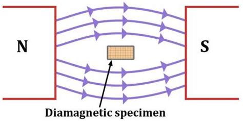 Diamagnetism of Diamagnetic Materials - QS Study