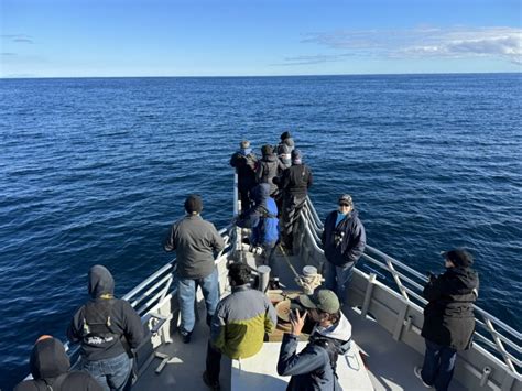 Photographing humpback whales - Bill McKim’s Jersey Shore Whale Watch ...