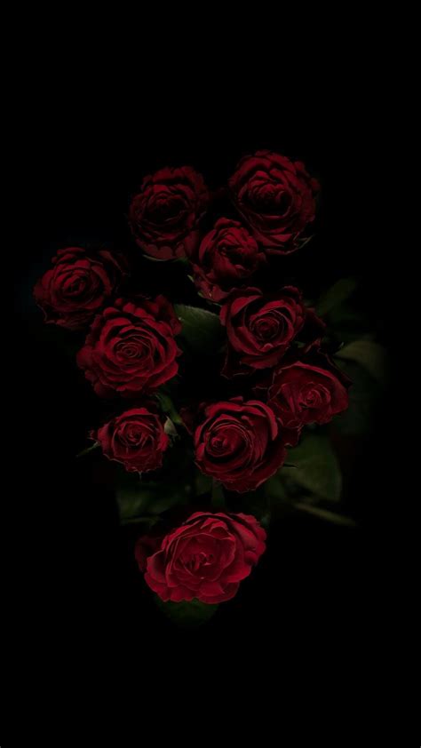 Dark Roses Aesthetic Wallpapers on WallpaperDog