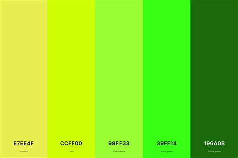 35+ Best Green Color Palettes with Names and Hex Codes – CreativeBooster