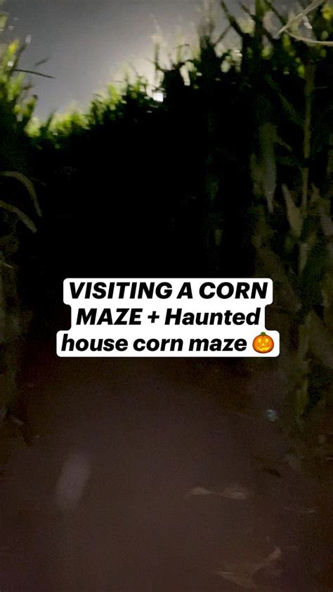 VISITING A CORN MAZE + Haunted house corn maze 🎃 | Corn maze, Corn maze pictures, Corn maze ...