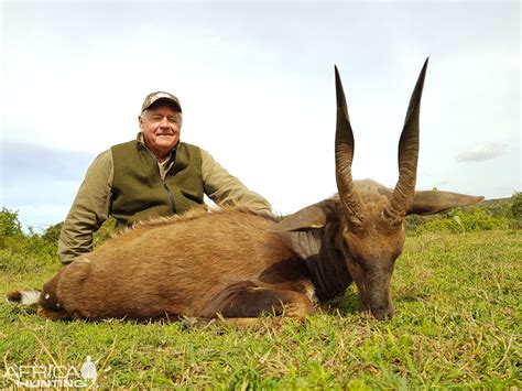 Bushbuck Hunting South Africa | Hunting