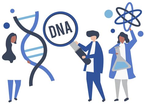 Autosomal DNA Testing: Everything You Need To Know