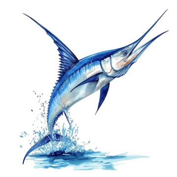 Blue Marlin Fish Jumping, Swordfish, Blue Marlin, Marlin PNG Transparent Image and Clipart for ...