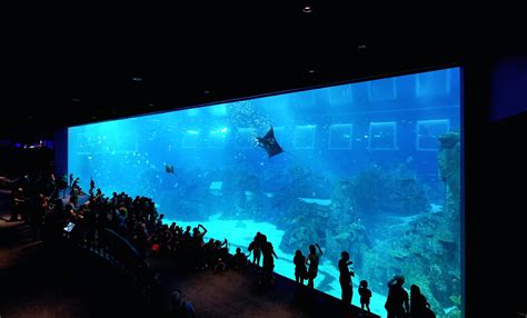 S.E.A. Aquarium @ SEA Aquarium - Resorts World Sentosa