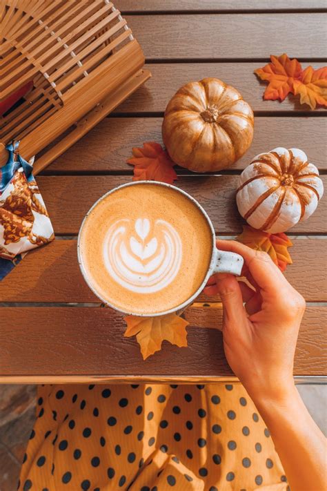 The Best Pumpkin Spice Coffees: Seasonal Sips For Coffee Connoisseurs